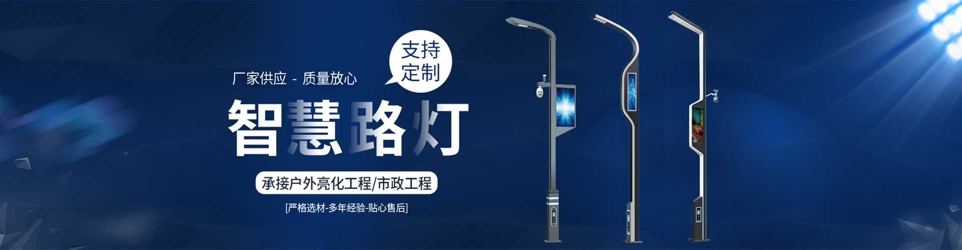 海陵区太阳能路灯定制厂家