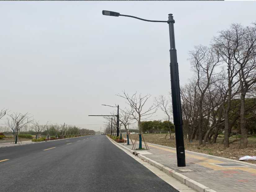 海陵区上海综合杆 太阳能路灯工程
